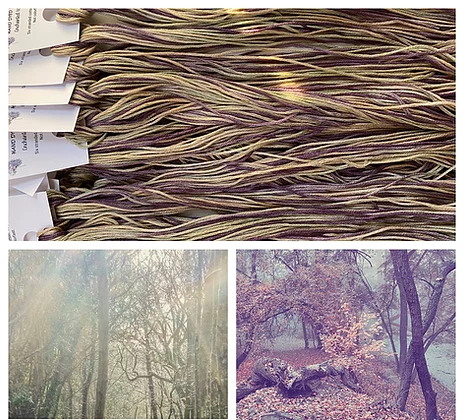 Enchanted Wood
